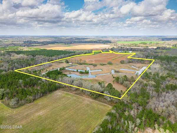 57.2 Acres of Land for Sale in Graceville, Florida