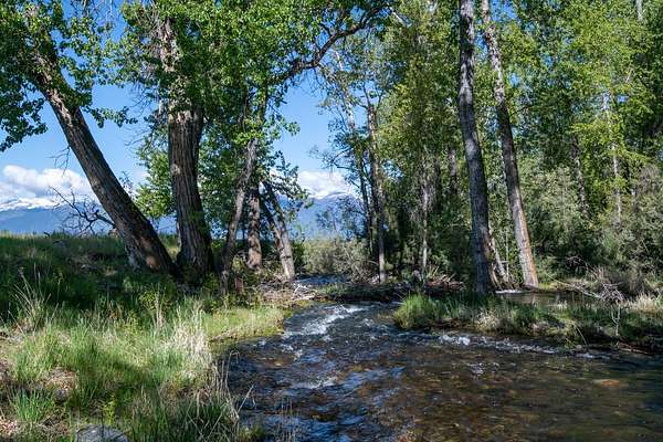 4.1 Acres of Residential Land for Sale in Stevensville, Montana