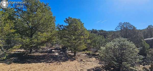 3.62 Acres of Residential Land for Sale in Cotopaxi, Colorado