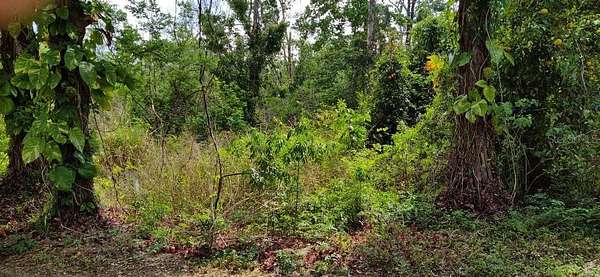 0.33 Acres of Residential Land for Sale in Longwood, Florida