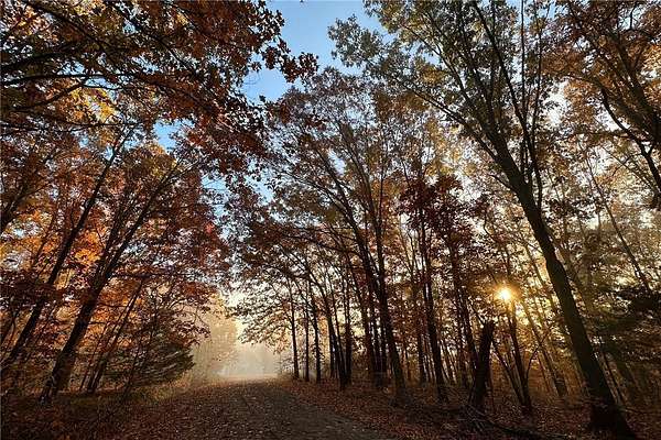 0.31 Acres of Residential Land for Sale in Bella Vista, Arkansas