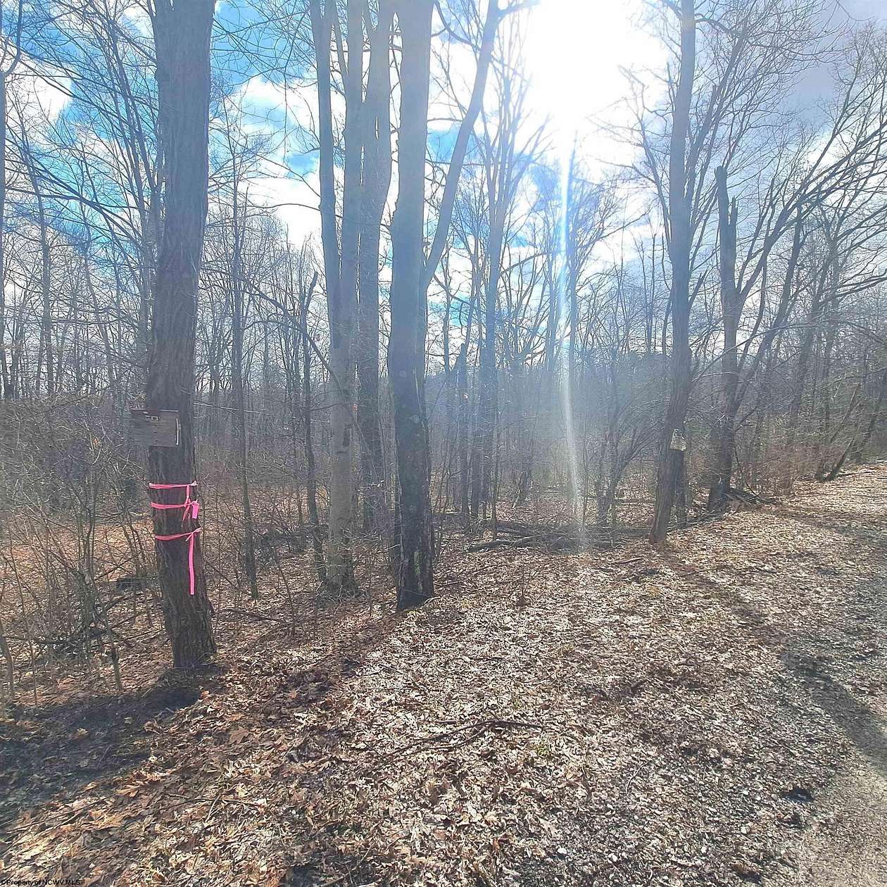 0.97 Acres of Residential Land for Sale in Albright, West Virginia