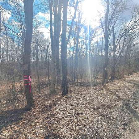 0.97 Acres of Residential Land for Sale in Albright, West Virginia