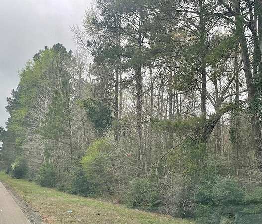 13.2 Acres of Recreational & Residential Land for Sale in Jasper, Texas