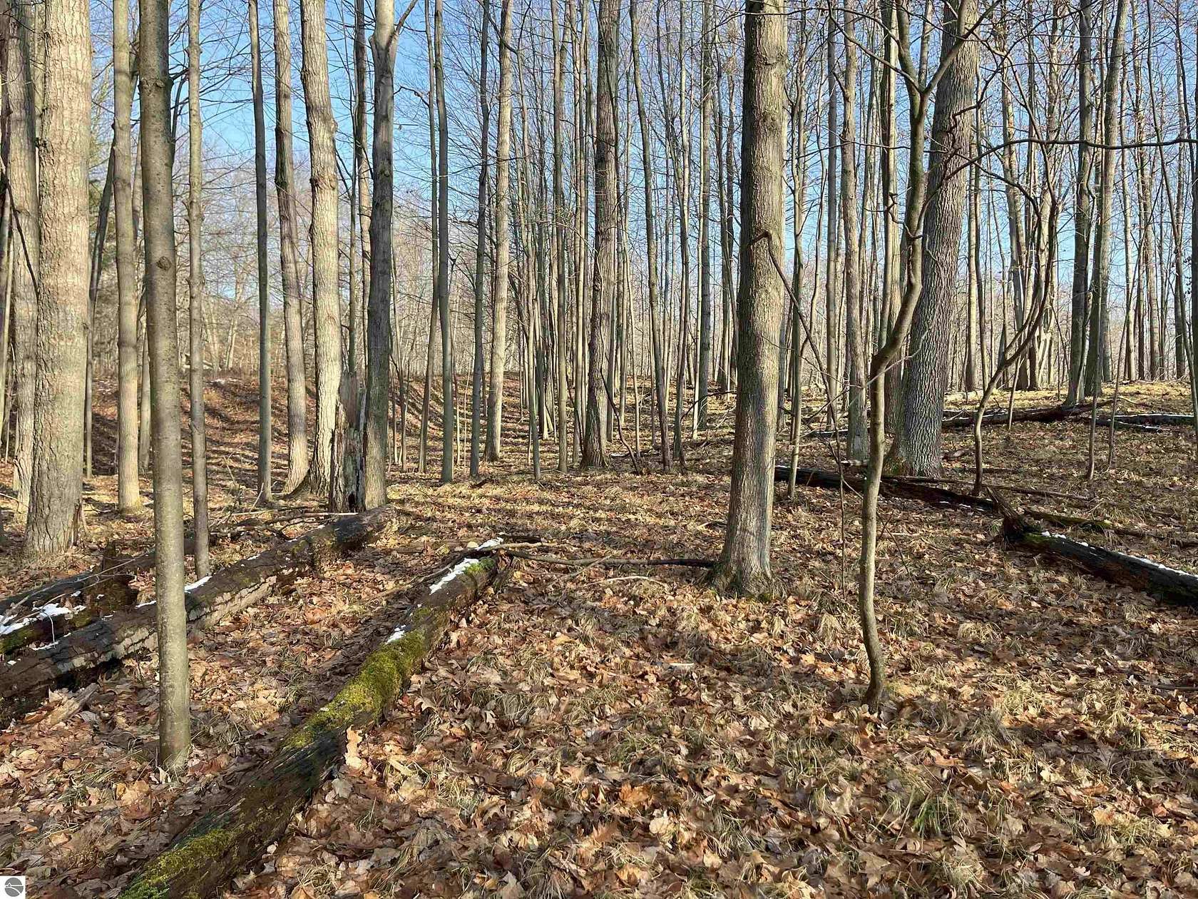 0.3 Acres of Residential Land for Sale in Stanwood, Michigan