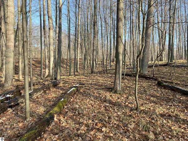 0.3 Acres of Residential Land for Sale in Stanwood, Michigan