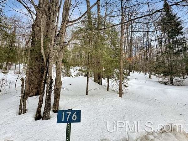 1 Acre of Residential Land for Sale in Crystal Falls, Michigan