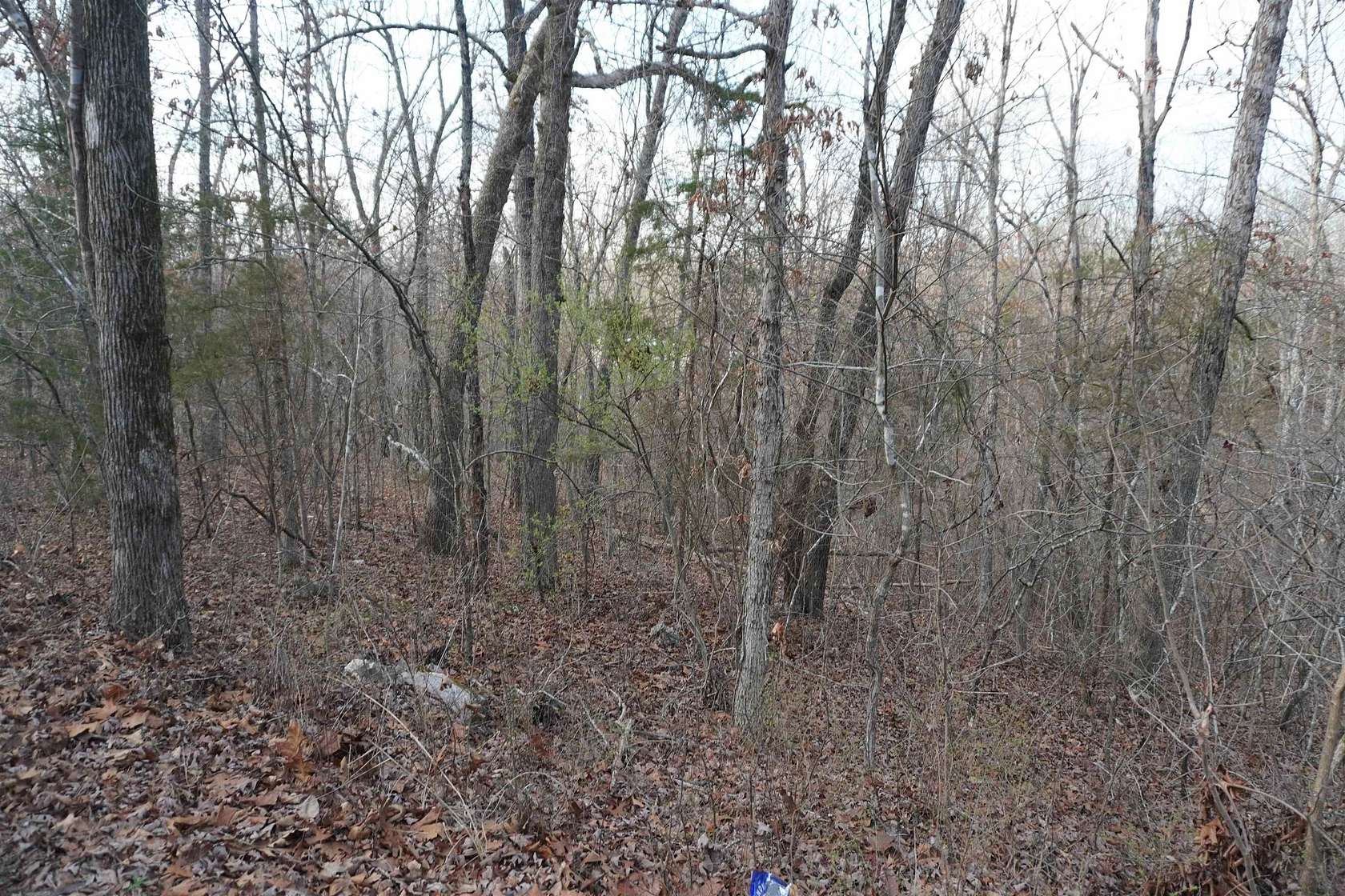 0.33 Acres of Residential Land for Sale in Cherokee Village, Arkansas