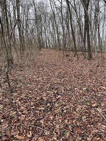 41.2 Acres of Land for Lease in Bixby, Missouri