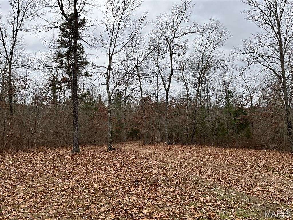 54.3 Acres of Recreational & Residential Land for Sale in Piedmont, Missouri