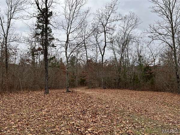 54.3 Acres of Recreational & Residential Land for Sale in Piedmont, Missouri
