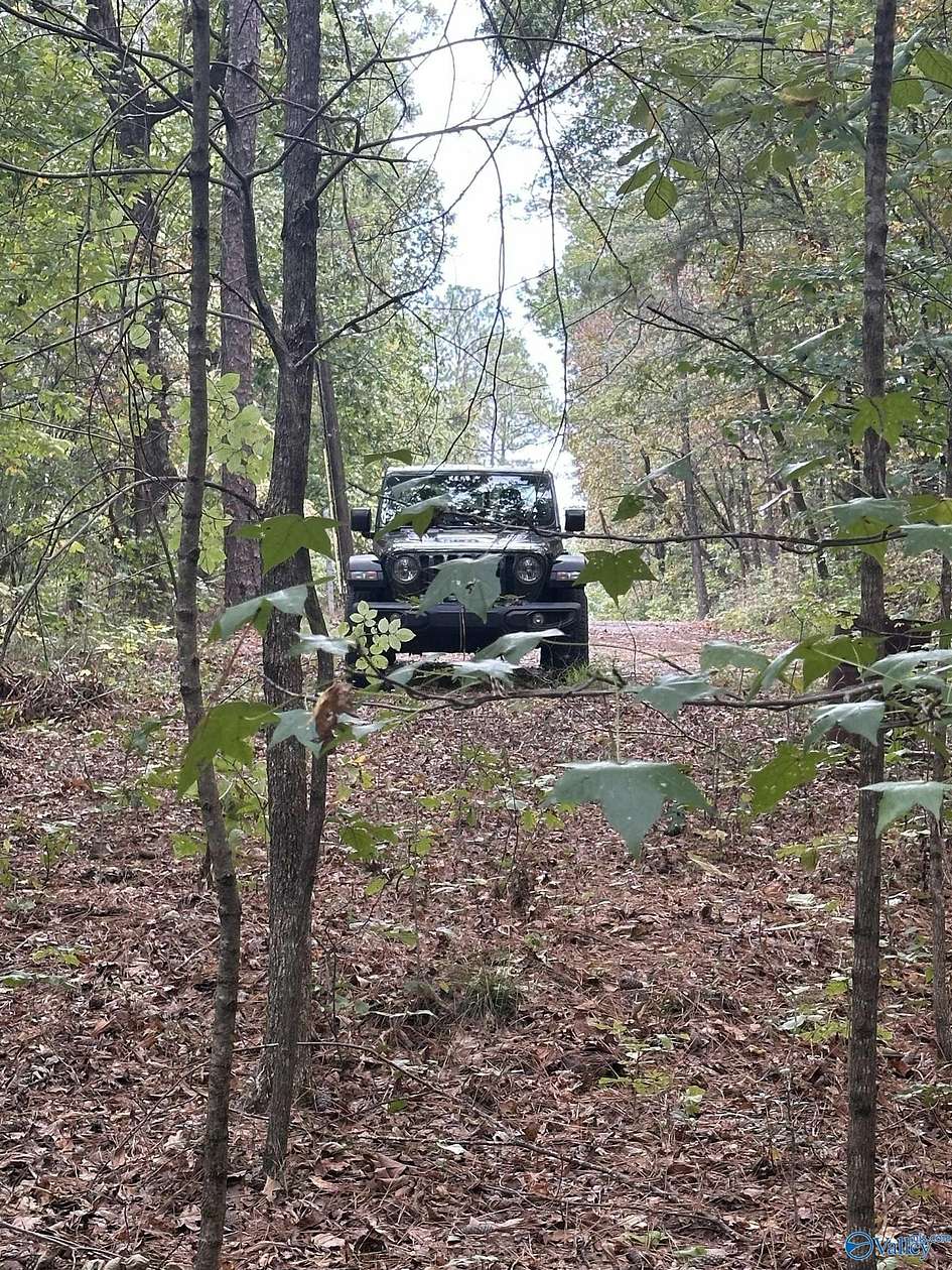 14 Acres of Land for Sale in Glencoe, Alabama