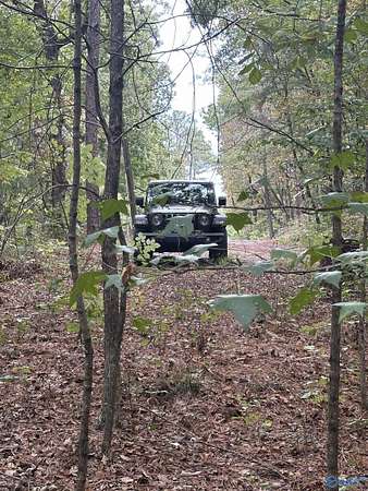 14 Acres of Land for Sale in Glencoe, Alabama