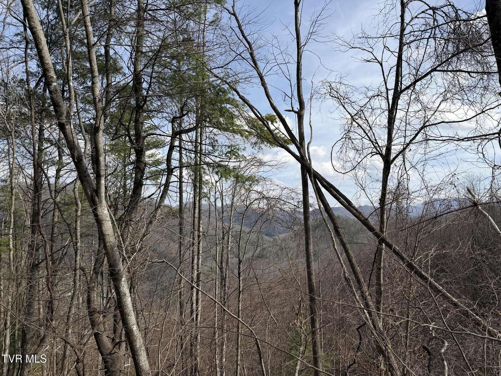 31.7 Acres of Recreational & Residential Land for Sale in Mountain City, Tennessee