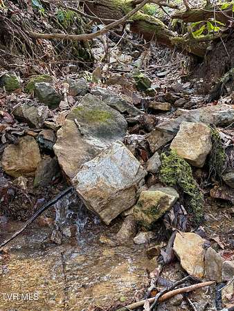 31 Acres of Land for Sale in Mountain City, Tennessee