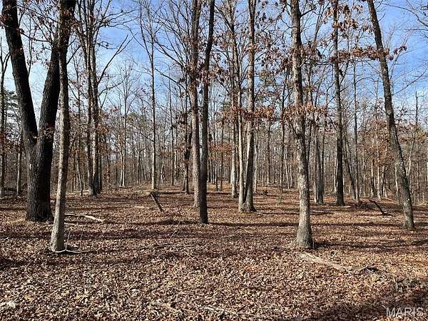 120 Acres of Recreational Land for Sale in Piedmont, Missouri