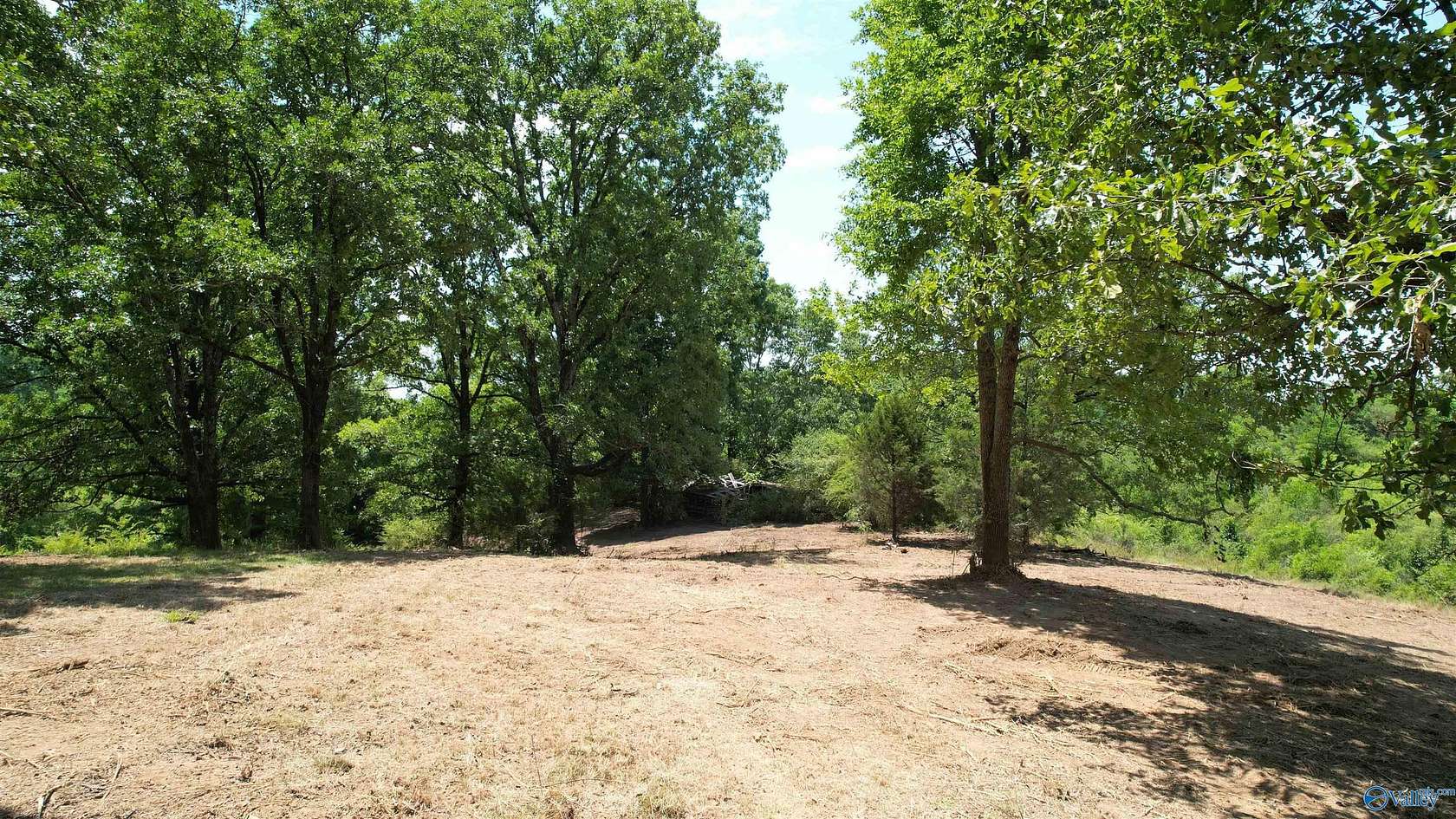 11.5 Acres of Land for Sale in Good Hope, Alabama