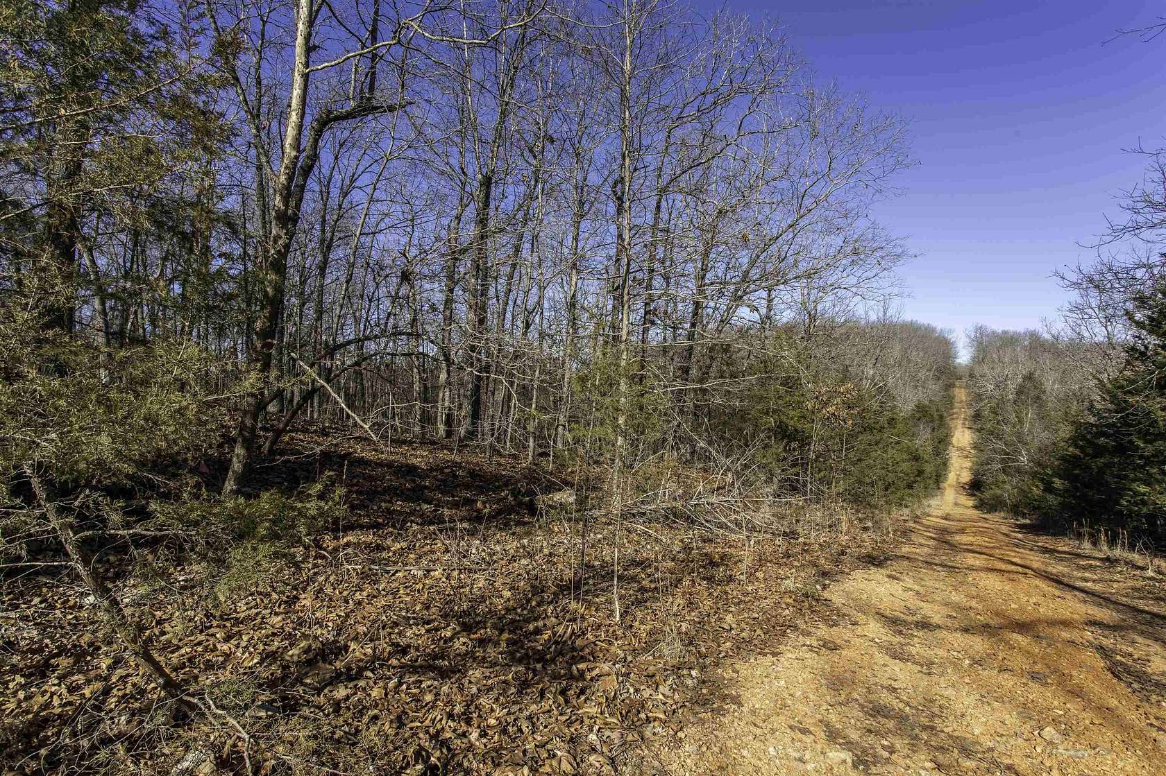 102 Acres of Recreational Land for Sale in Williford, Arkansas