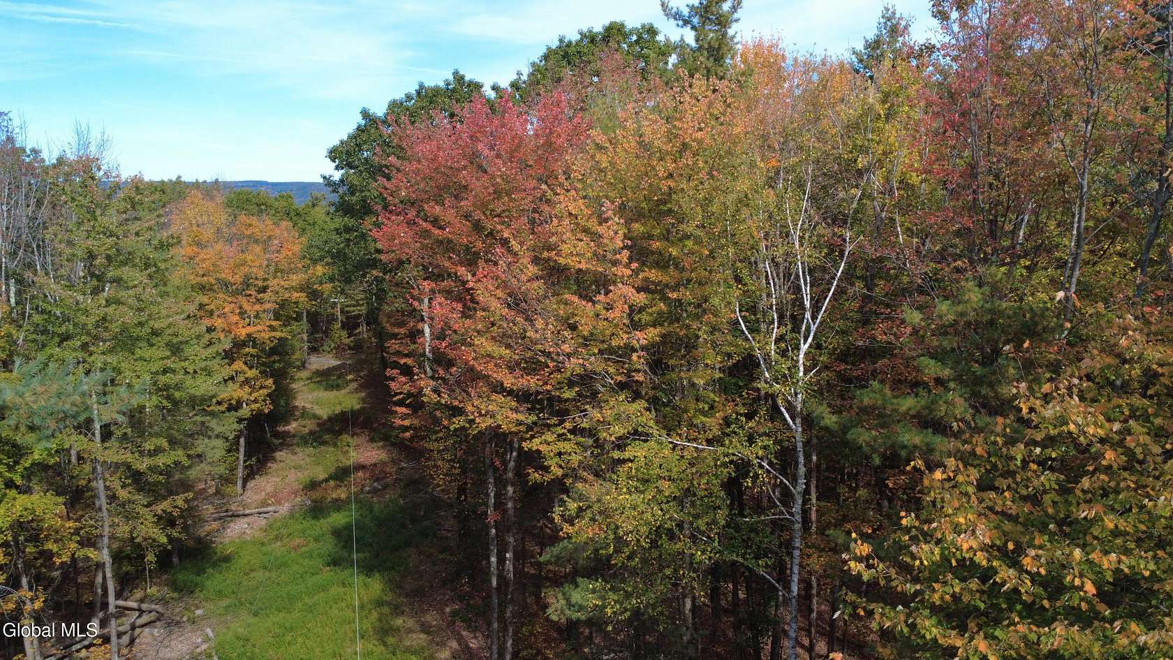 12 Acres of Recreational Land for Sale in Jefferson, New York