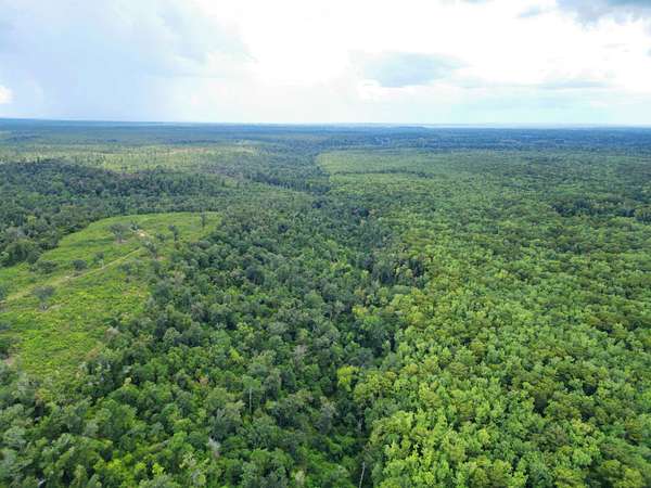 38.3 Acres of Recreational Land for Sale in Bristol, Florida