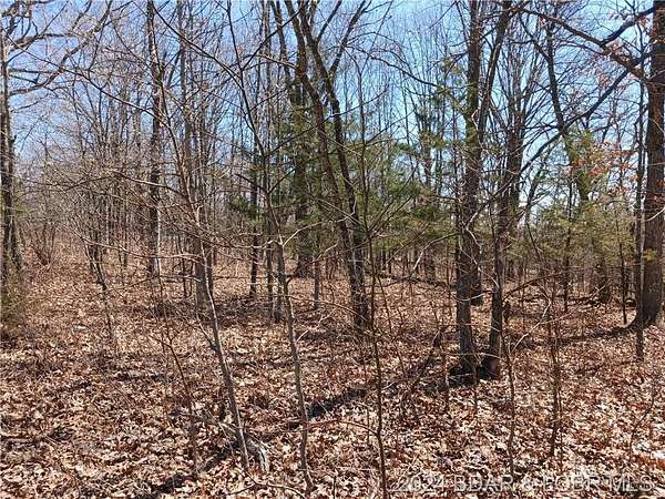 4.9 Acres of Residential Land for Sale in Versailles, Missouri