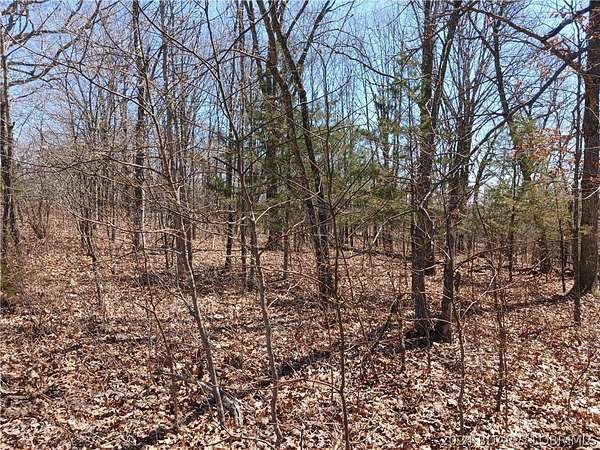 4.9 Acres of Residential Land for Sale in Versailles, Missouri