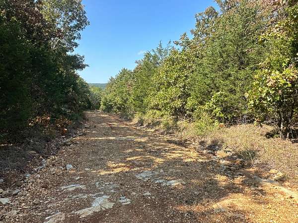 51.2 Acres of Recreational & Residential Land for Sale in Pocahontas, Arkansas