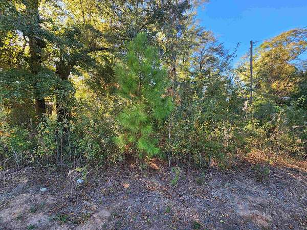 0.23 Acres of Residential Land for Sale in Bristol, Florida