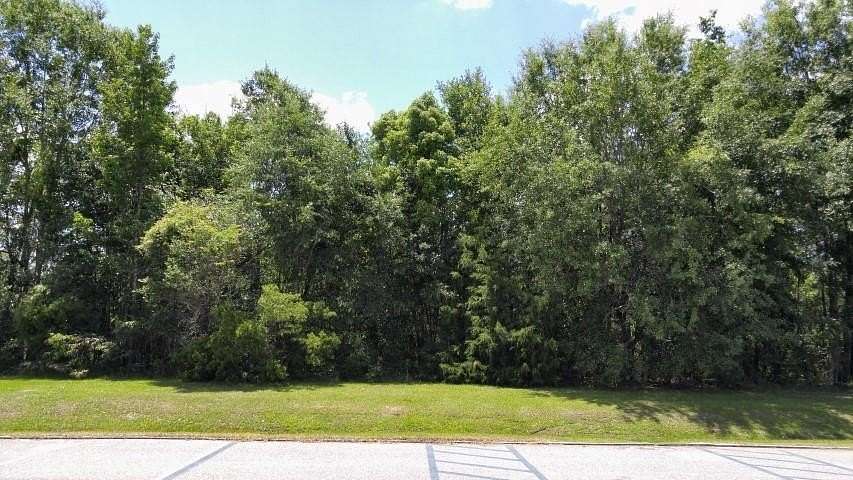 24.8 Acres of Land for Sale in Bristol, Florida