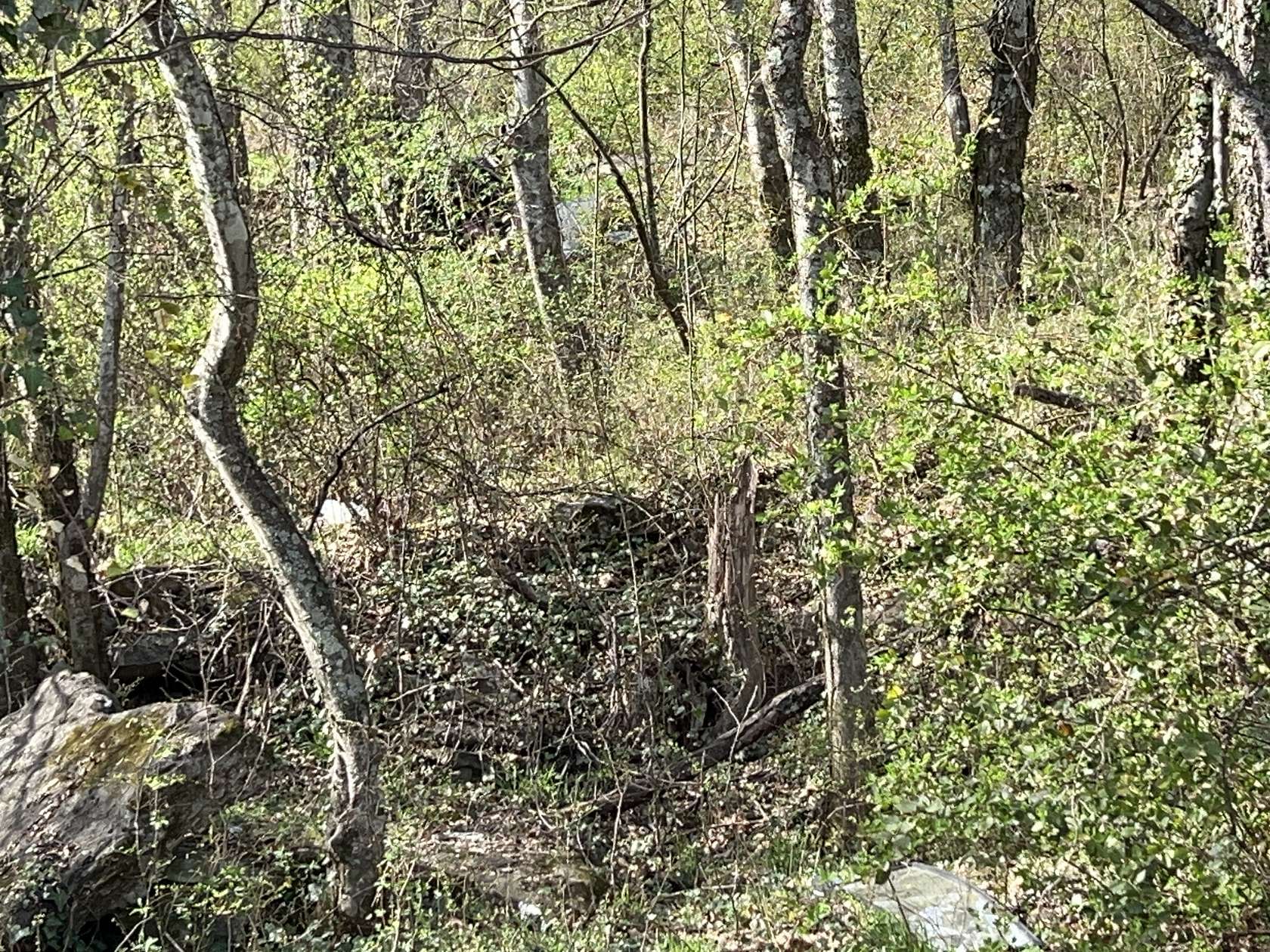 Land for Sale in Pulaski, Tennessee