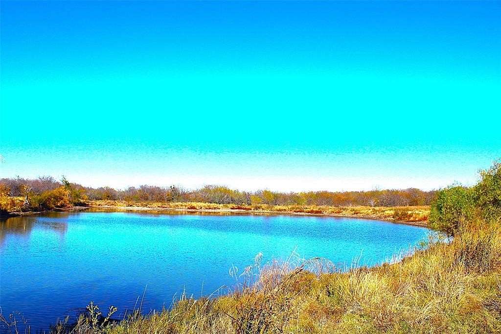 100 Acres of Land for Sale in Prairie Hill, Texas