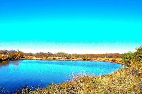 100 Acres of Land for Sale in Prairie Hill, Texas