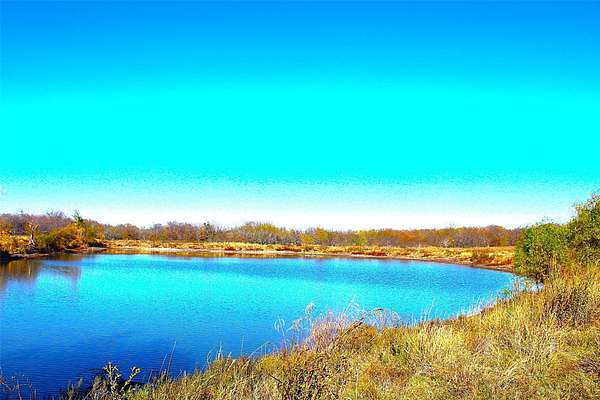 100 Acres of Land for Sale in Prairie Hill, Texas