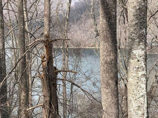 0.85 Acres of Residential Land for Sale in Nantahala, North Carolina