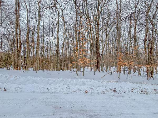 0.43 Acres of Residential Land for Sale in Canadian Lakes, Michigan