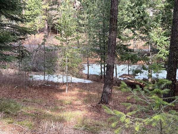 0.66 Acres of Land for Sale in New Meadows, Idaho