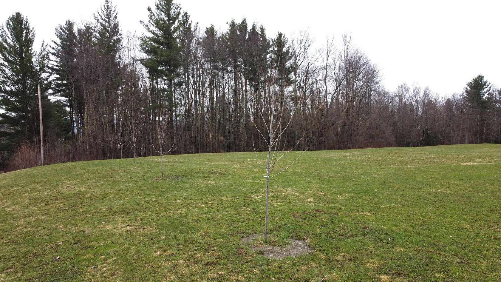 3.9 Acres of Residential Land for Sale in Westfield, Vermont