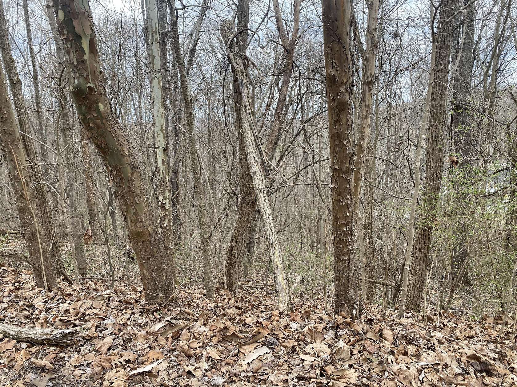 0.42 Acres of Residential Land for Sale in Mount Vernon, Kentucky