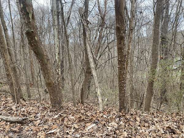 0.42 Acres of Residential Land for Sale in Mount Vernon, Kentucky