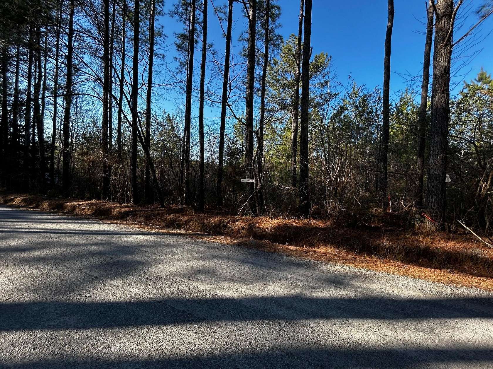 20 Acres of Land for Sale in Decatur, Tennessee