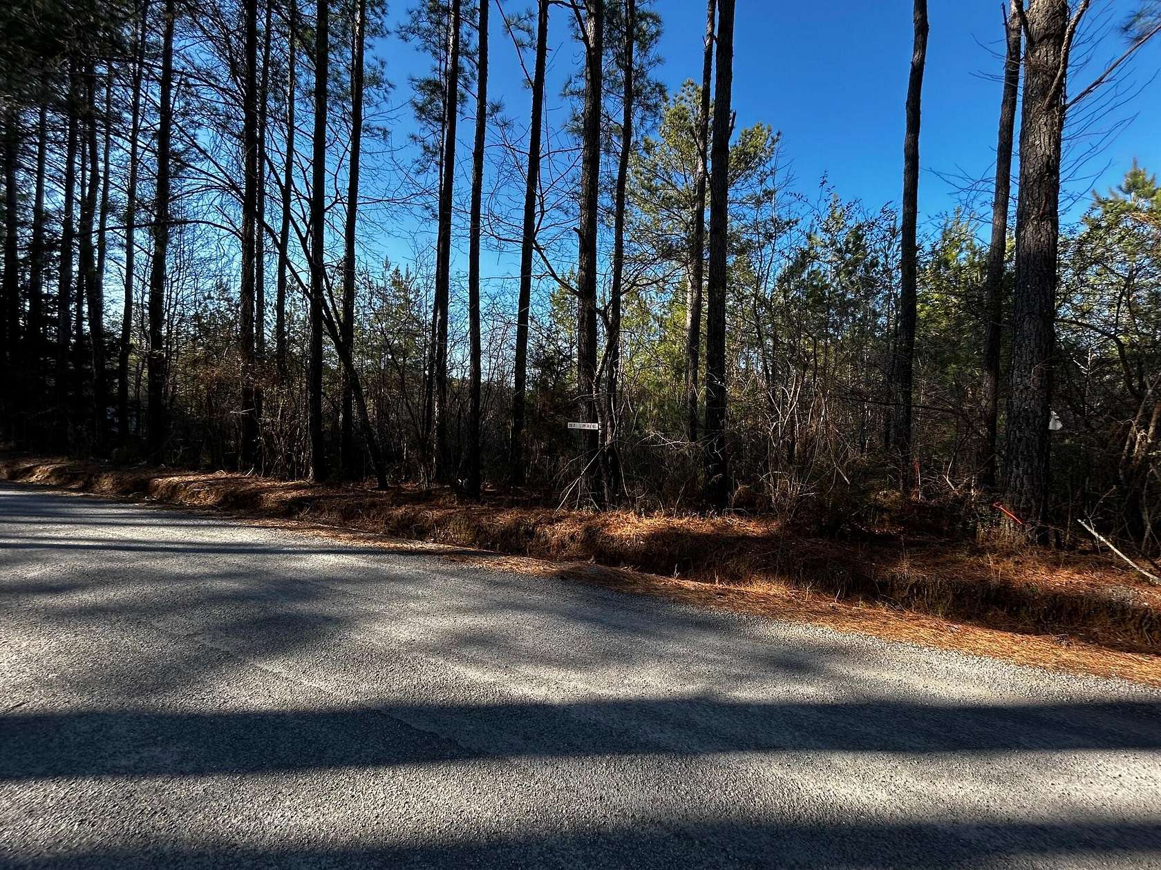 20 Acres of Recreational Land for Sale in Decatur, Tennessee