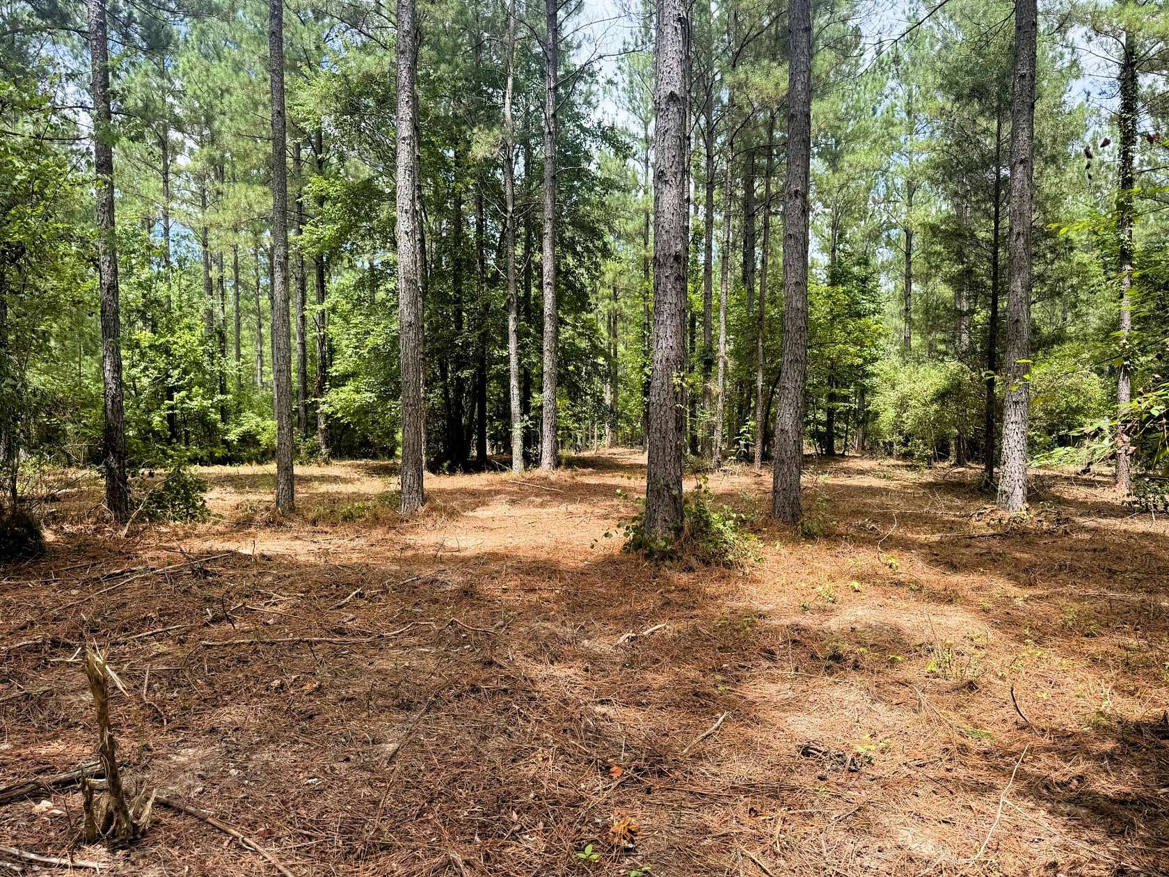 20 Acres of Recreational Land for Sale in Decatur, Tennessee