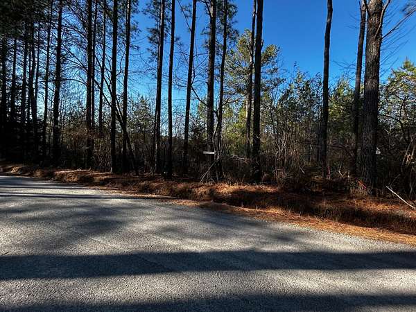 20 Acres of Land for Sale in Decatur, Tennessee