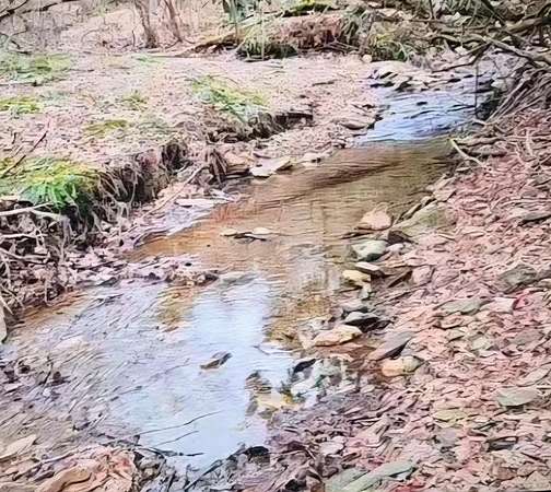 5.6 Acres of Residential Land for Sale in Woodlawn, Virginia