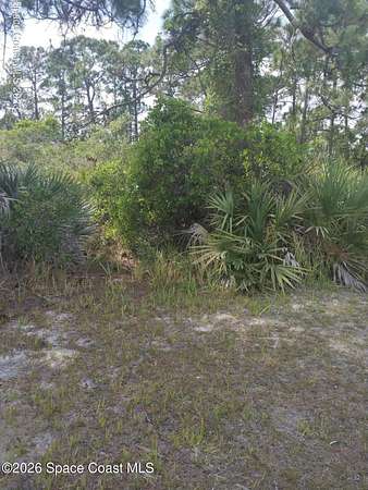 1 Acre of Residential Land for Sale in Cocoa, Florida