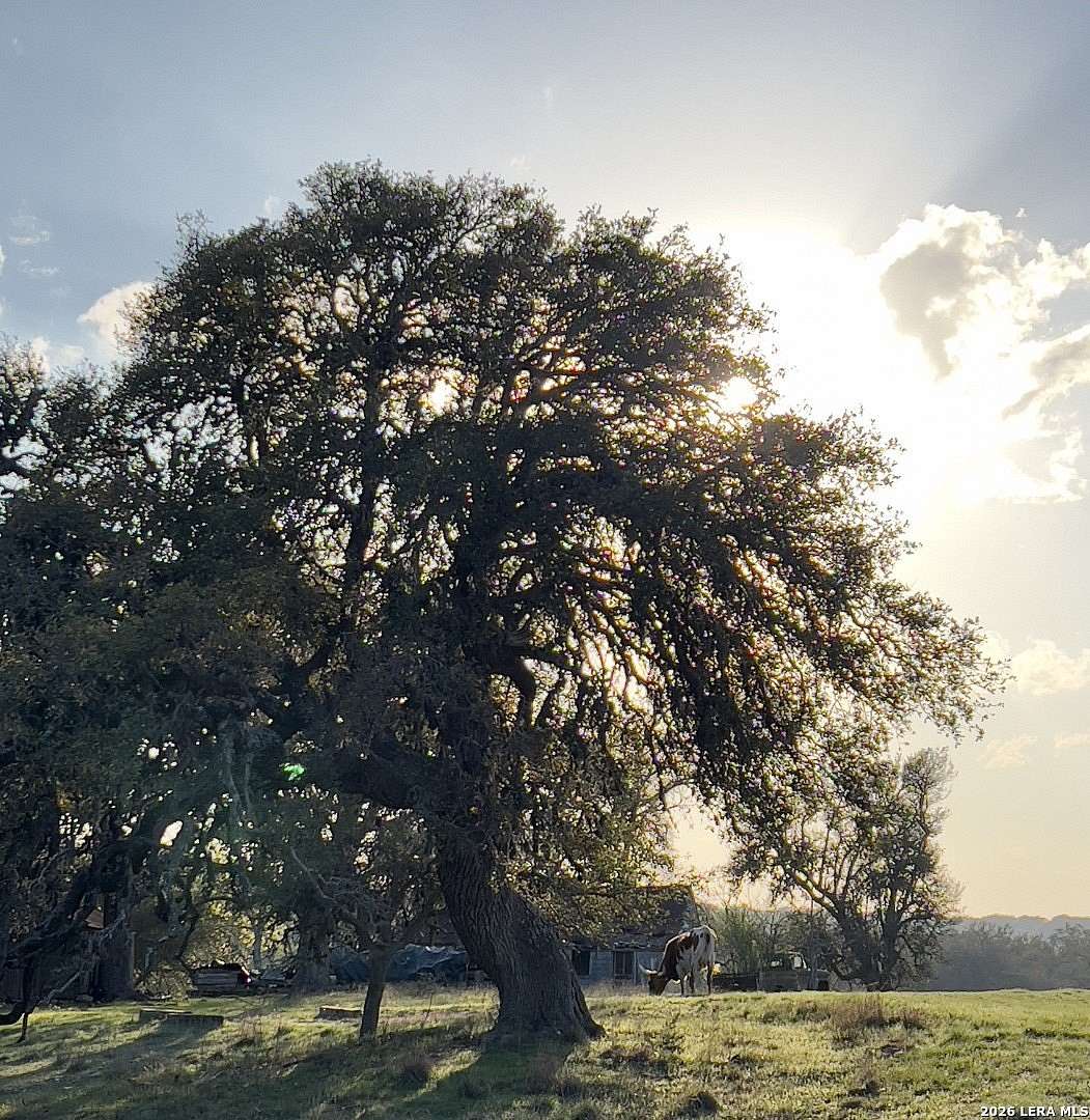 5.56 Acres of Residential Land for Sale in Blanco, Texas