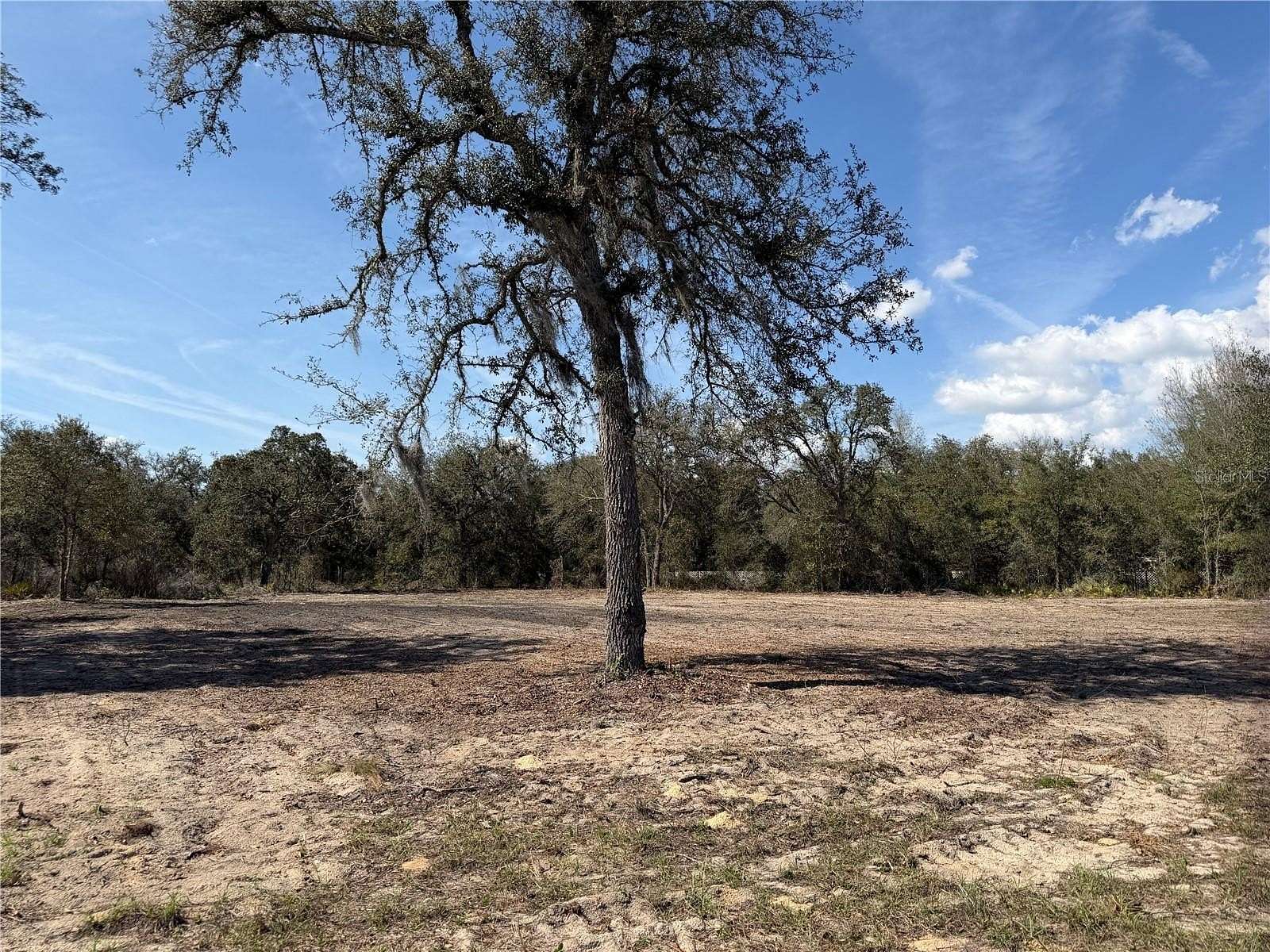 1.36 Acres of Residential Land for Sale in Bronson, Florida