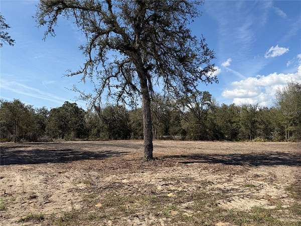1.36 Acres of Residential Land for Sale in Bronson, Florida