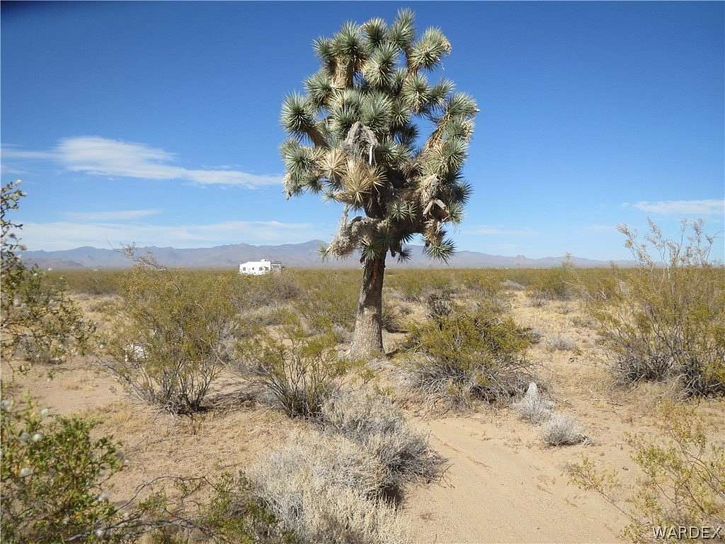 38.6 Acres of Agricultural & Residential Land for Sale in Yucca, Arizona