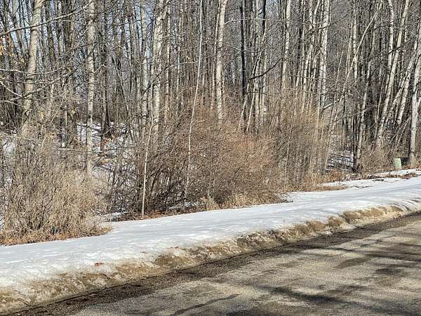0.37 Acres of Residential Land for Sale in Houghton Lake, Michigan